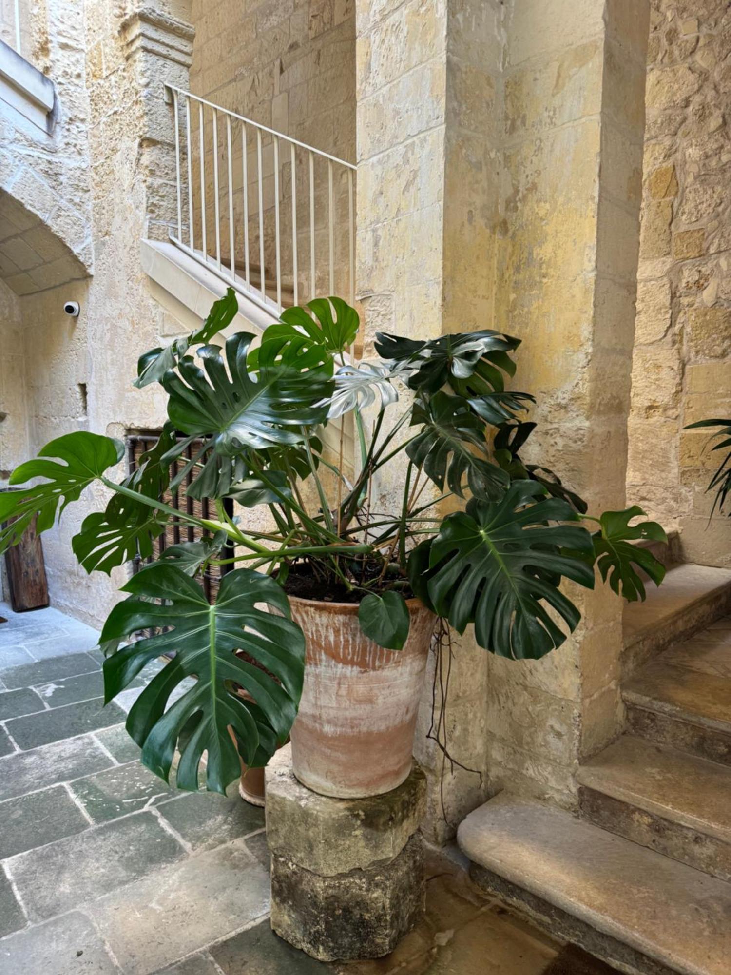 Aparthotel Luleccio *